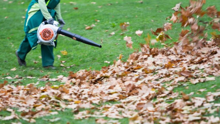 Time and Energy Savings with the Hart Leaf Vacuum: Efficient Yard Maintenance Made Easy